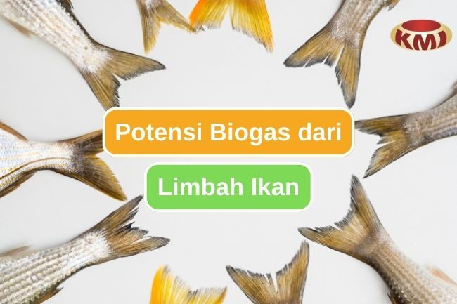 Ketahui Peluang Membuat Biogas dari Limbah Ikan